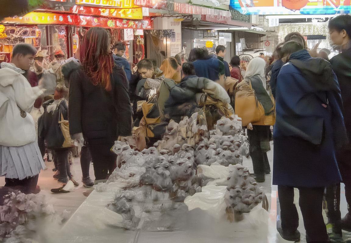 国际足联年度颁奖典礼前瞻：金球奖之争聚焦梅西与哈兰德，足球奖项悬念揭晓